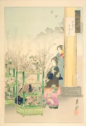 Flower Seller, Flower Arranger, fra serien 